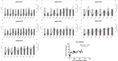 Monitoring of the Complement System Status in Patients With B-Cell Malignancies Treated With Rituximab